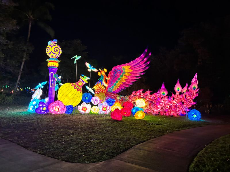 After-Dark Lanterns and Special Days