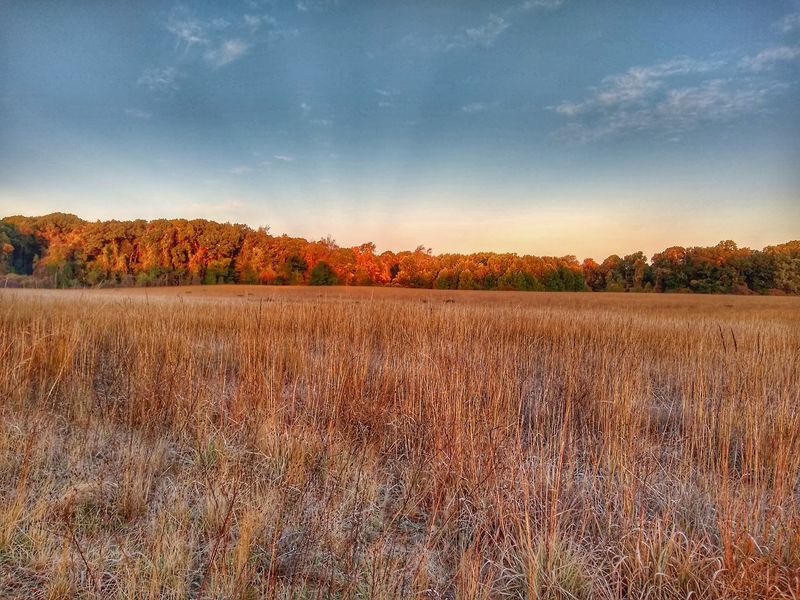 Amazing Fall Colors in October