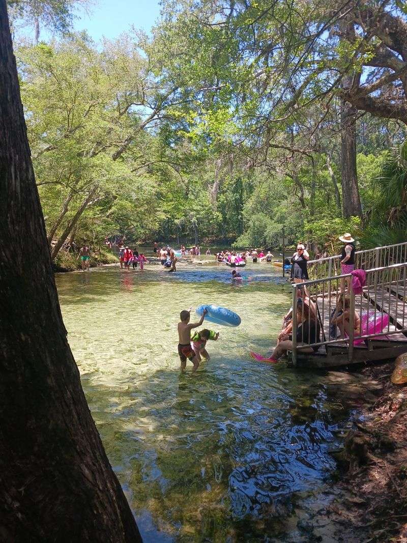 An Easygoing Spot for Families and Dogs