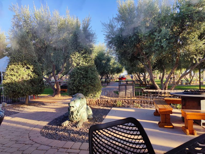An Olive Grove on Meridian Road