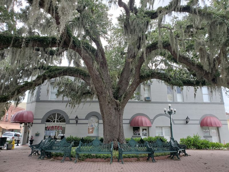 Arcadia, Florida Arcadia, Florida
