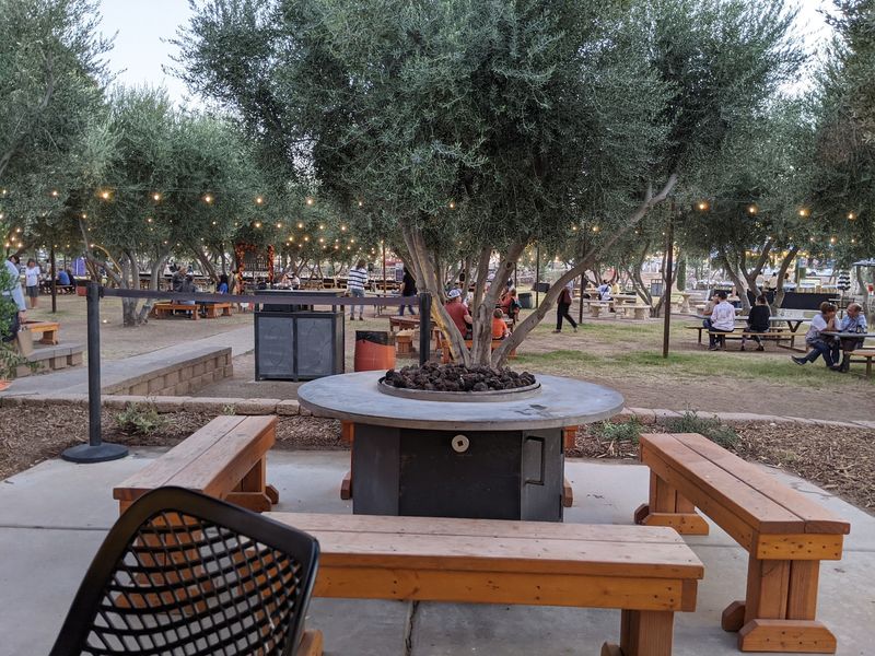 Arizona's Lone Olive Oil Factory