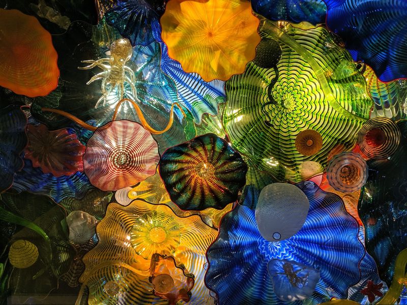 Art After Dark and Nights That Come Alive