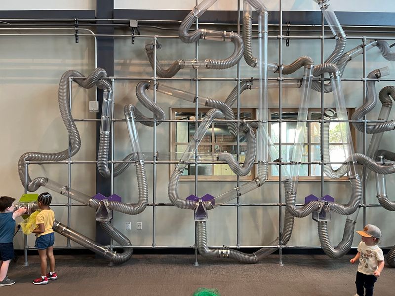 Ball Runs, Gears, and Rooms Full of Movement