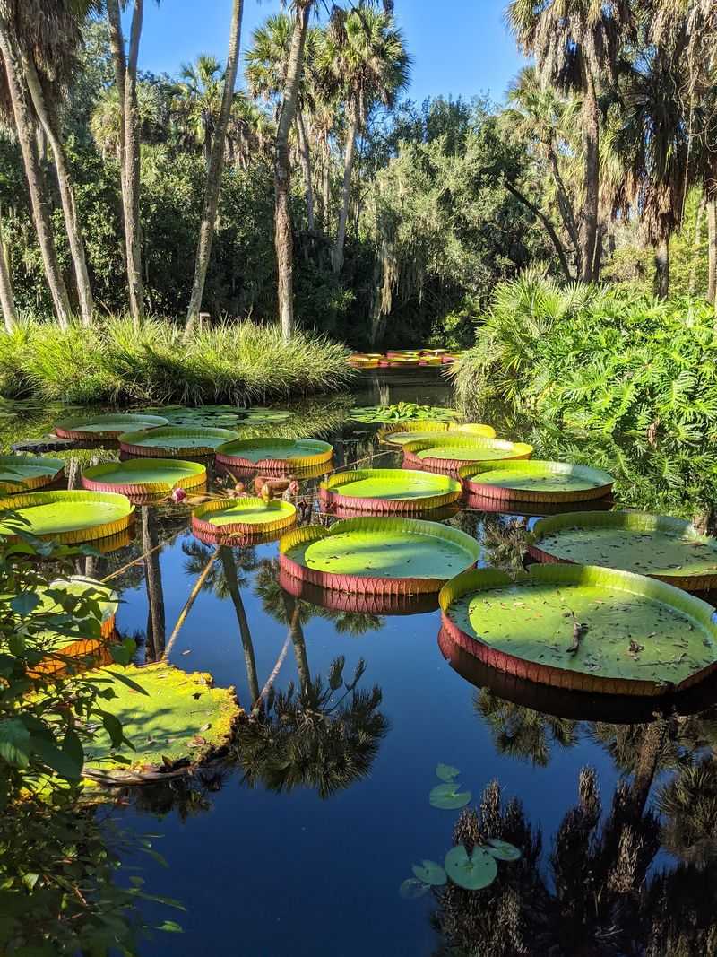 Bamboo Groves, Koi Ponds, and Quiet Corners Bamboo Groves, Koi Ponds, and Quiet Corners