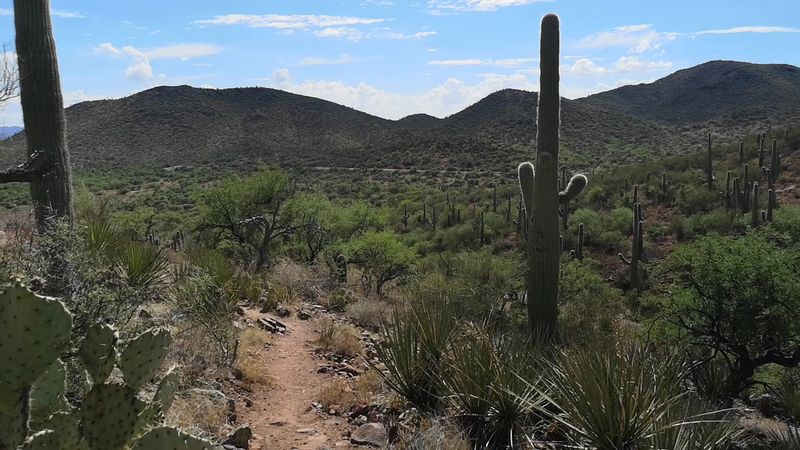 Bandit Trail and Desert Views