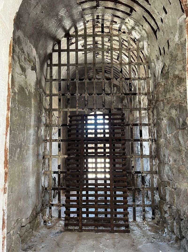 Bats In The Dark Cell