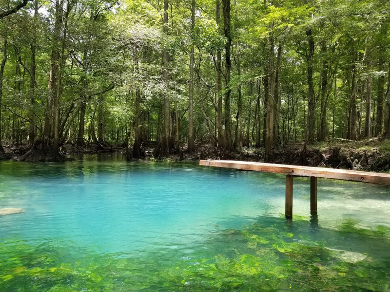 Bats, Springs, and the Blue Hole Bats, Springs, and the Blue Hole