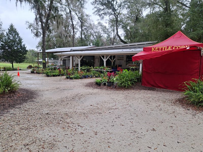 Beasley Farm, Brooksville, FL Beasley Farm, Brooksville, FL