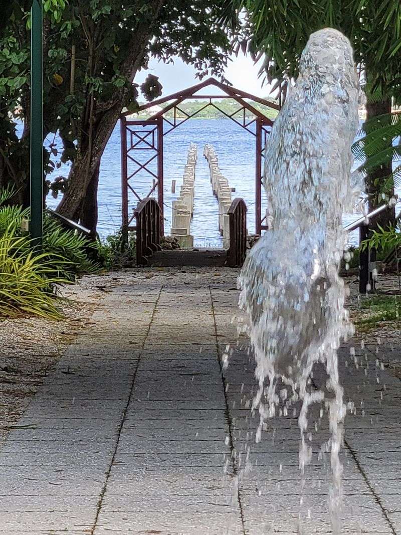 Benches, Palms, and the Caloosahatchee Benches, Palms, and the Caloosahatchee