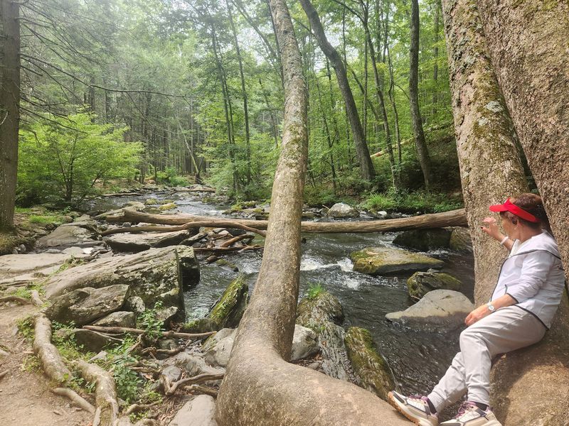 Benches and Picnic Spots to Relax