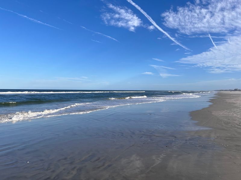 Bird Island Dog Beach, St. Augustine