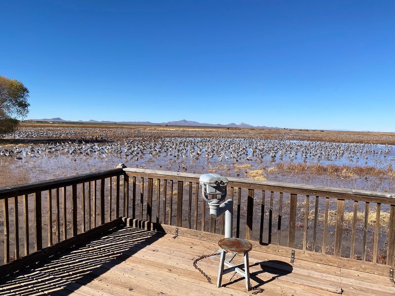 Boardwalks, Benches, and Viewing Platforms