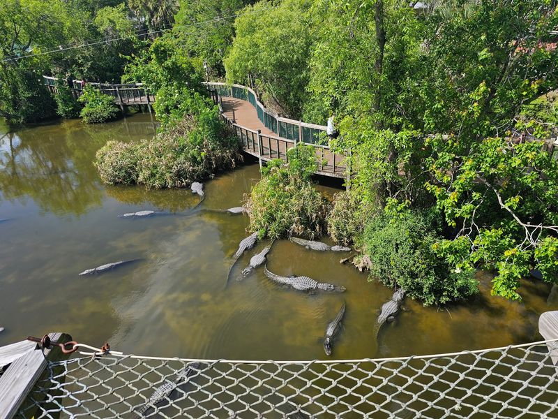 Boardwalks Through the Breeding Marsh and Swamp Boardwalks Through the Breeding Marsh and Swamp