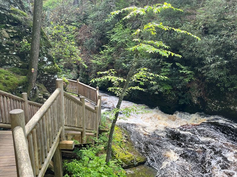 Boardwalks and Bridges Over the River