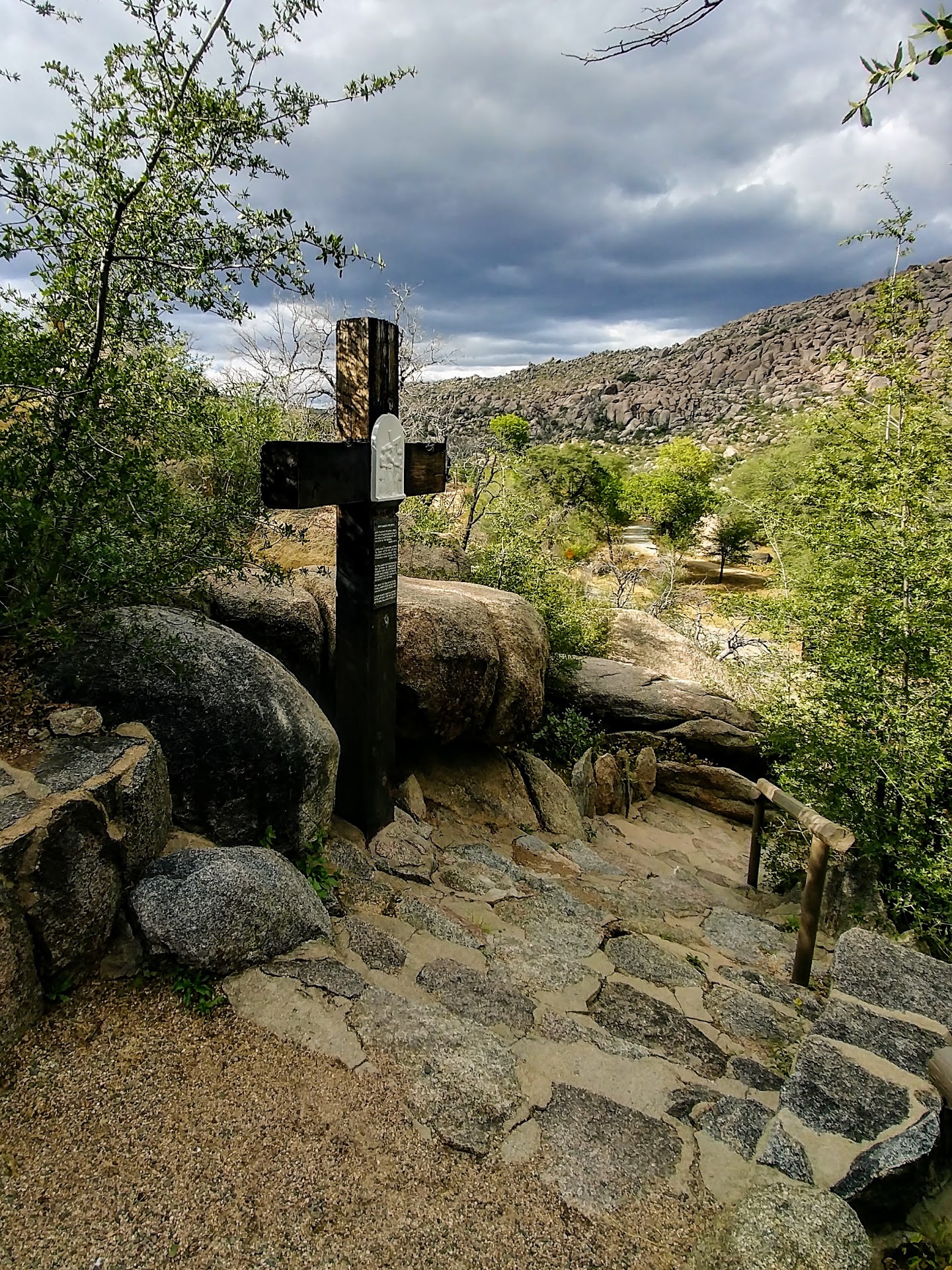 Boulders, Old Trees, and a View Worth the Climb