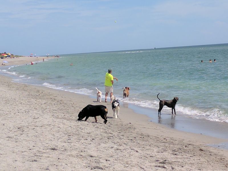 Brohard Paw Park, Venice