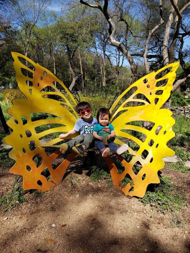 Butterflies, Roses, and Wings on the Move
