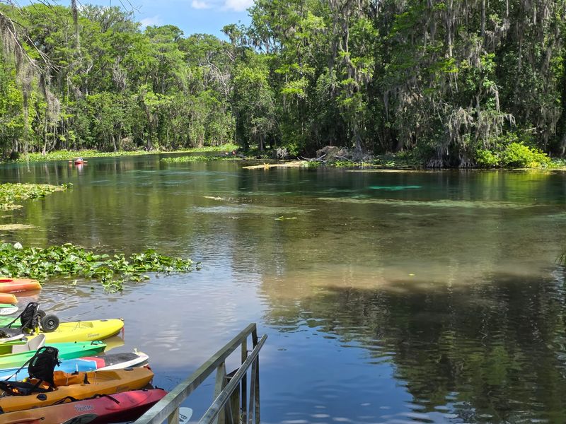 Camping, Cabins, and Staying Overnight Camping, Cabins, and Staying Overnight