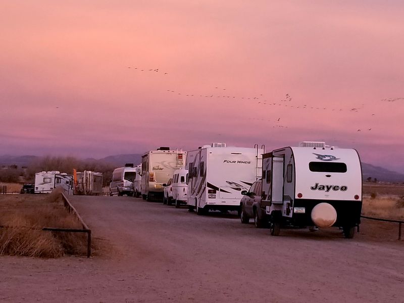 Camping Next to Thousands of Cranes
