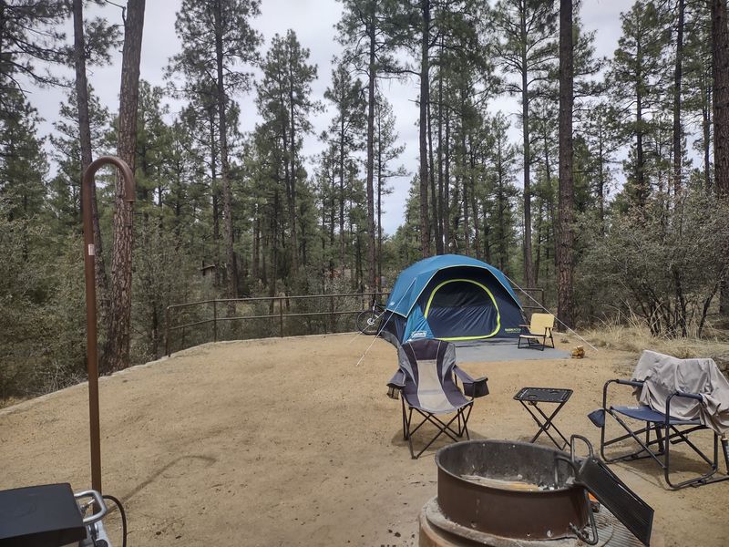 Camping Under the Pines