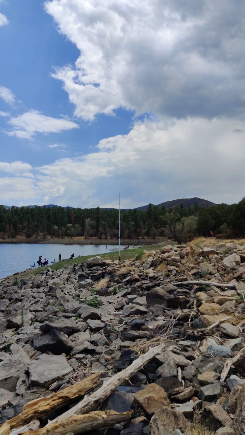 Cast a Line for Trout and More