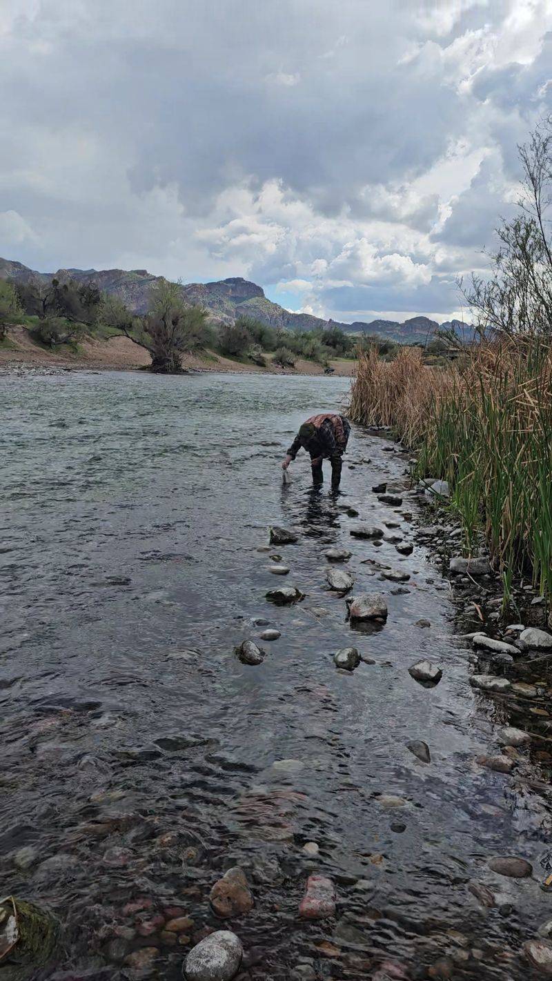Casting A Line From The Shore Casting A Line From The Shore