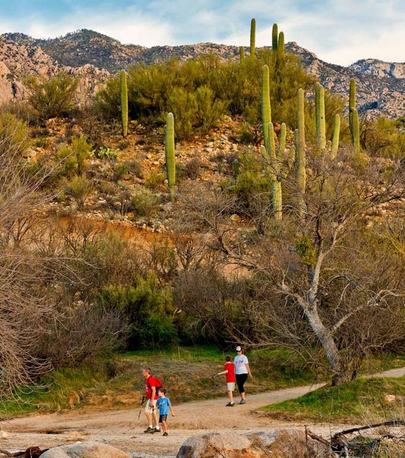 Catalina State Park, Tucson, AZ Catalina State Park, Tucson, AZ