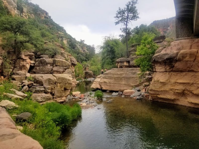 Cliff Jumping For The Bold Cliff Jumping For The Bold