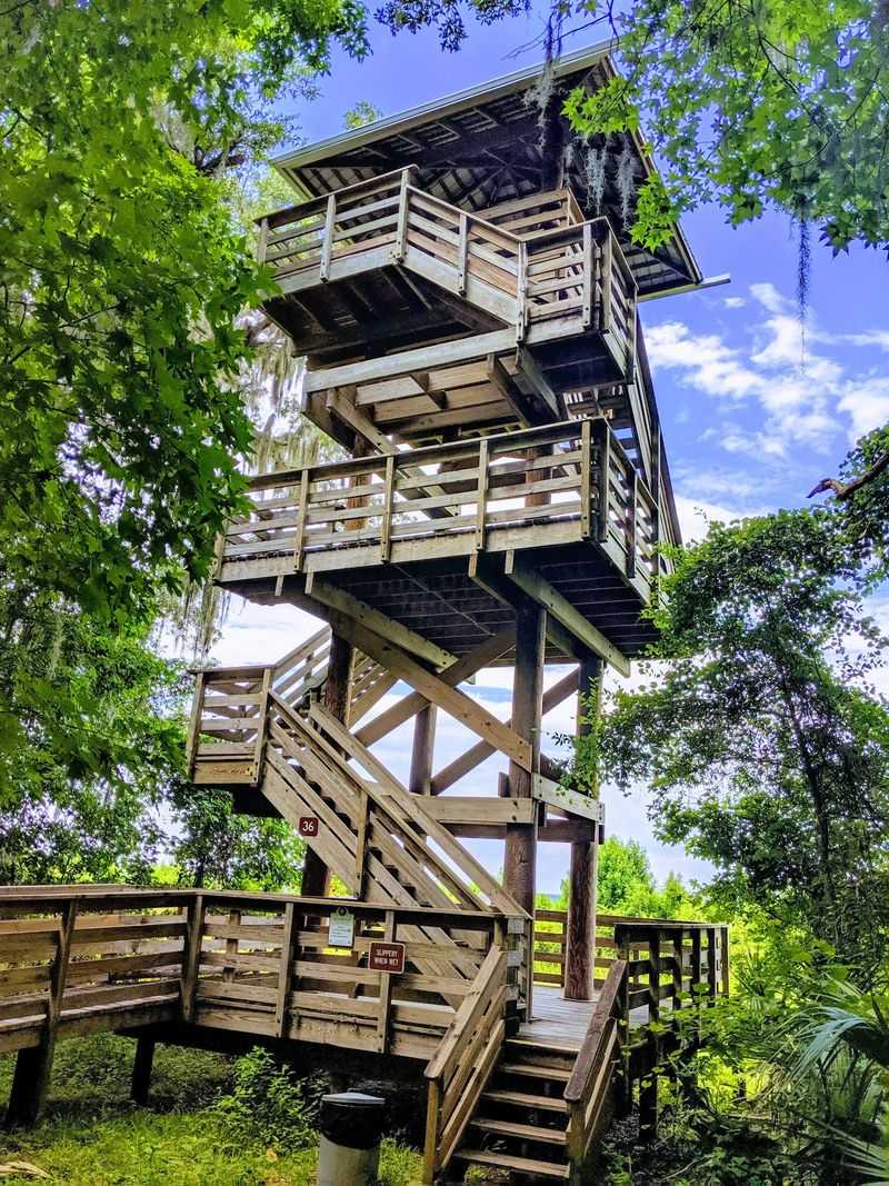 Climbing the Observation Tower Climbing the Observation Tower