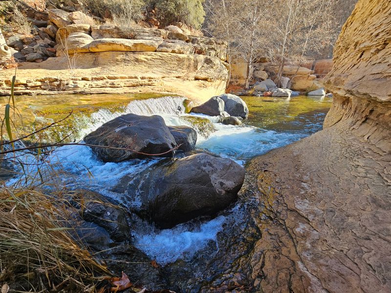 Cold Water That Wakes You Right Up Cold Water That Wakes You Right Up