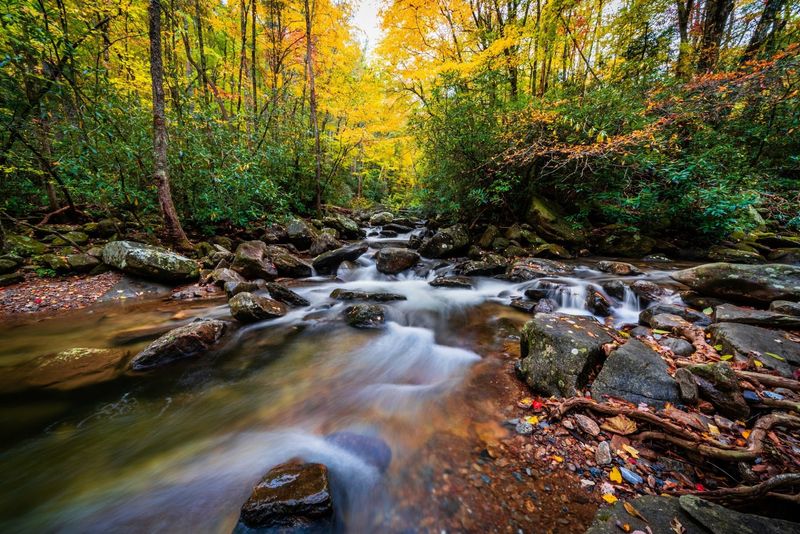 Cool Creeks Perfect For Splashing