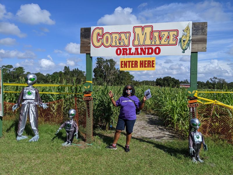 Corn Maze Orlando, Orlando, FL Corn Maze Orlando, Orlando, FL