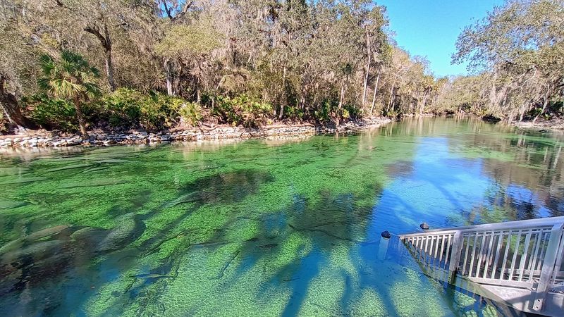 Crystal-Clear Water Built for Swimming and Snorkeling
