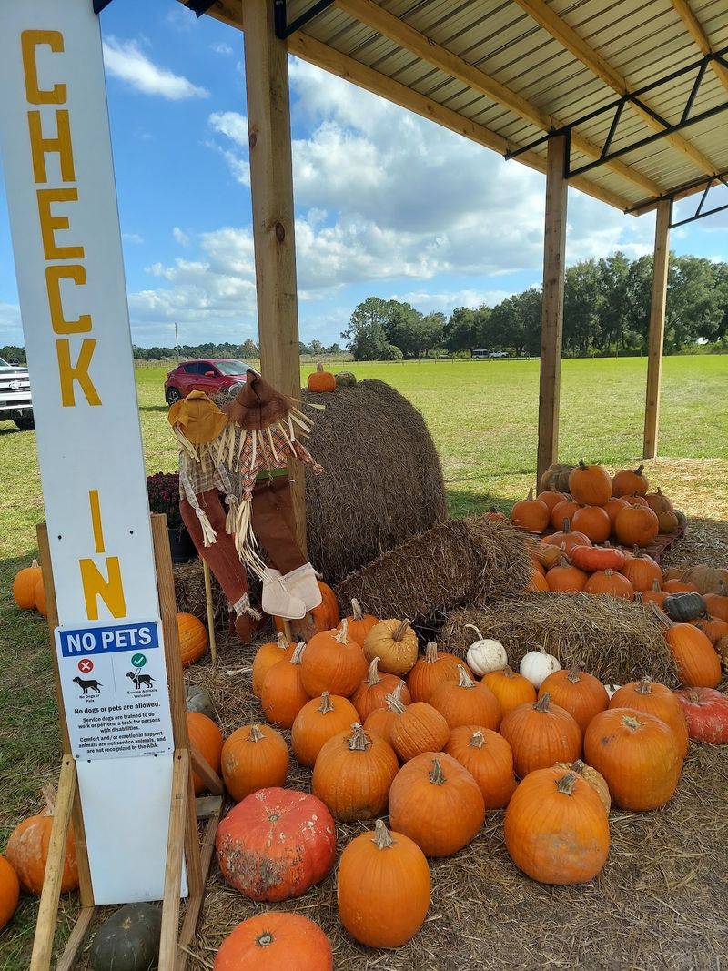 Dade City Farms, Dade City, FL Dade City Farms, Dade City, FL