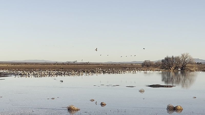 Dawn Departures and Late-Morning Arrivals