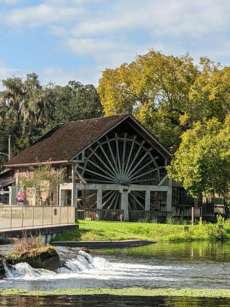De León Springs State Park, De Leon Springs, FL De León Springs State Park, De Leon Springs, FL