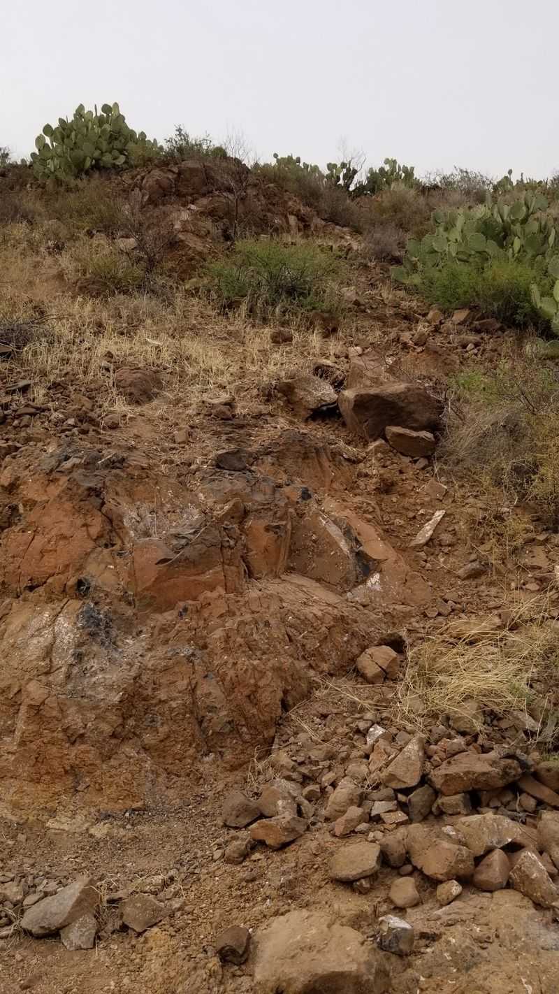 Digging Deeper For Better Specimens Digging Deeper For Better Specimens