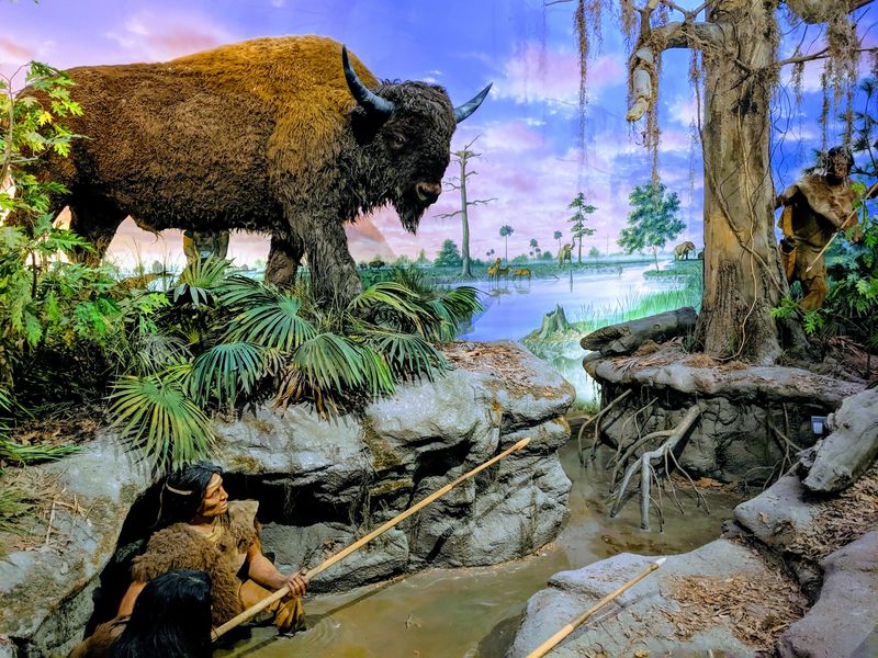 Dioramas That Tell Florida's Story Dioramas That Tell Florida's Story