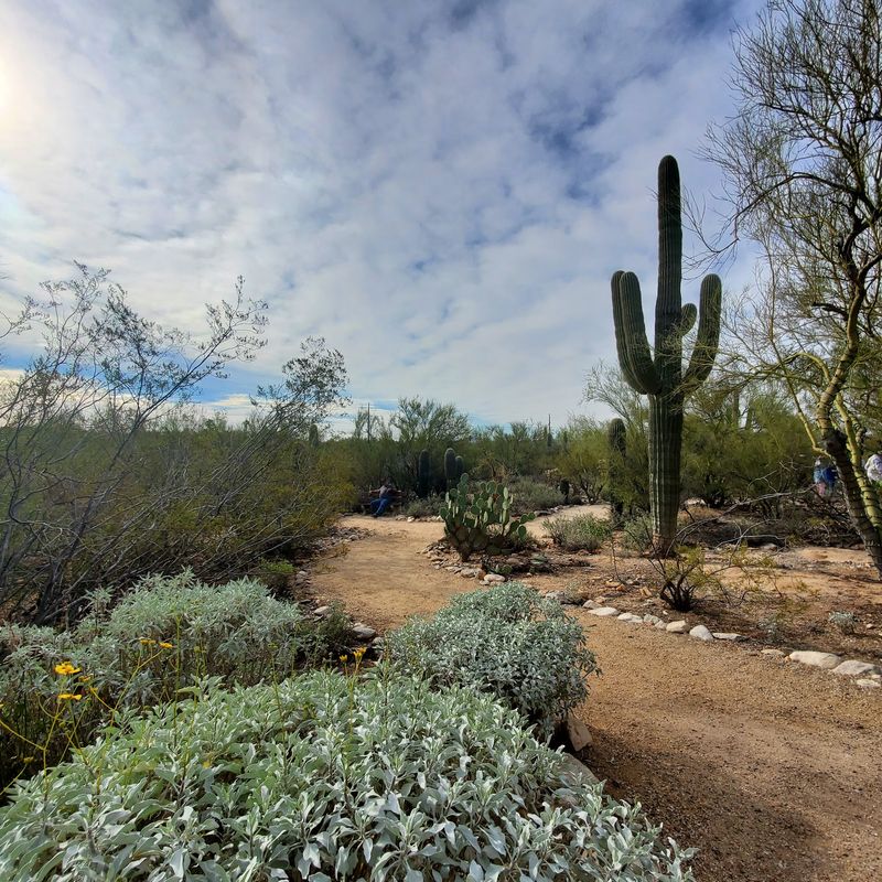 Docents Who Turn Plants Into Poetry Docents Who Turn Plants Into Poetry