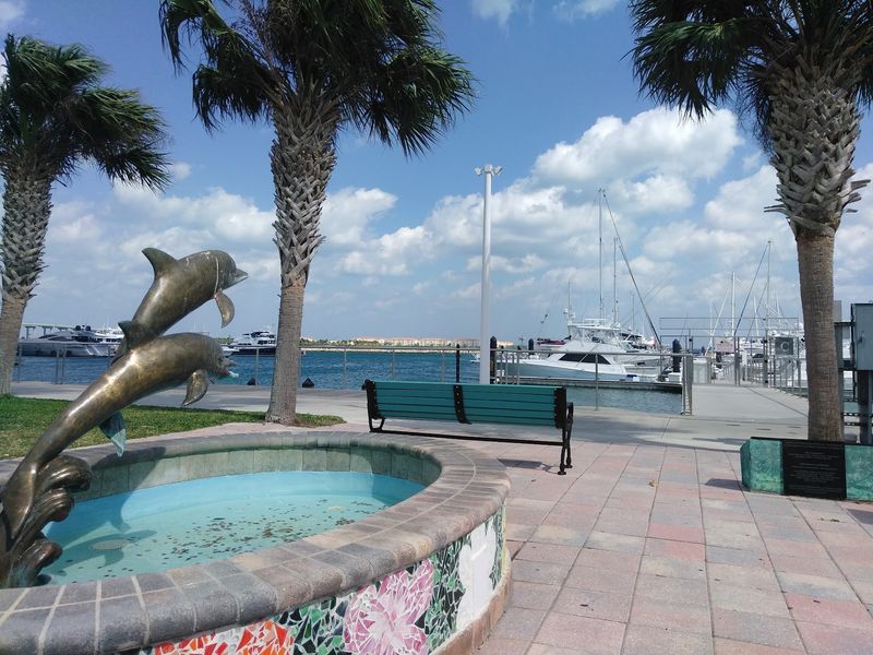Dolphins, Manatees, and Feathered Neighbors