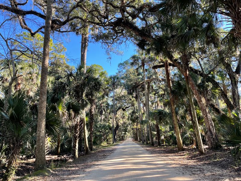 Down a Dirt Lane in Flagler County
