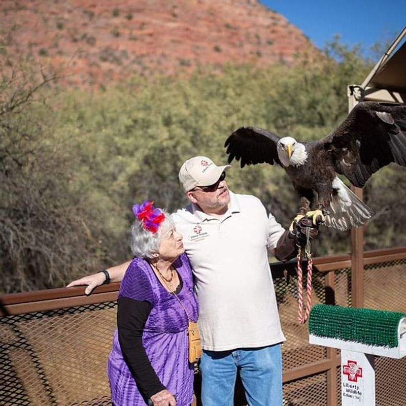 Eagles and Green Surprises Eagles and Green Surprises
