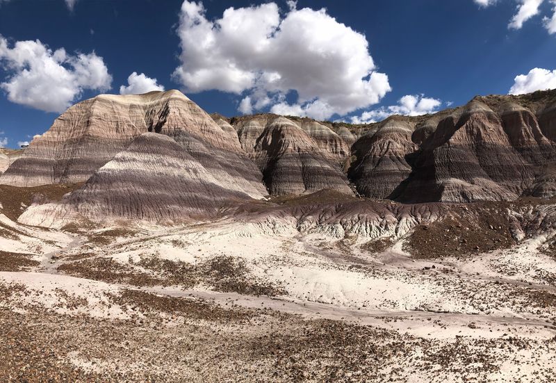 Easy Trails Made For Every Pace