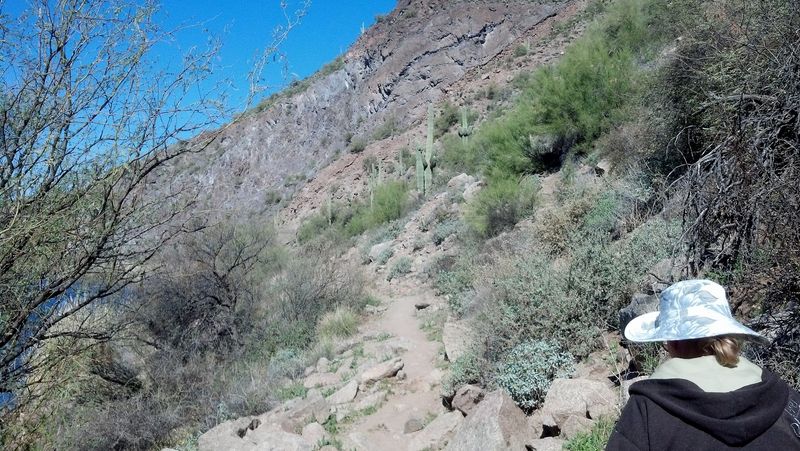 Easy Trails With a Few Surprises