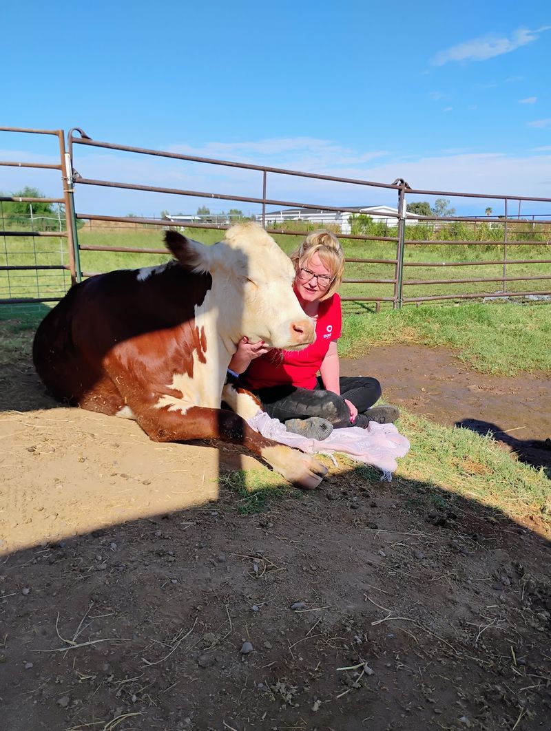 Every Animal Has a Story Every Animal Has a Story
