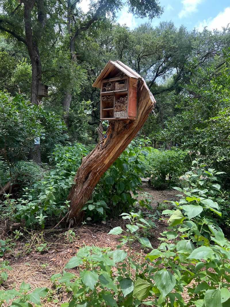 Fairy Homes and Scavenger Hunts