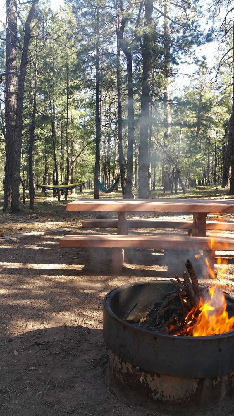 Fire Pits With A Built-In Grill Fire Pits With A Built-In Grill