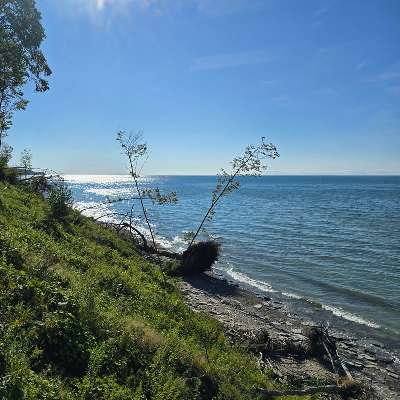 Fishing for Steelhead and More