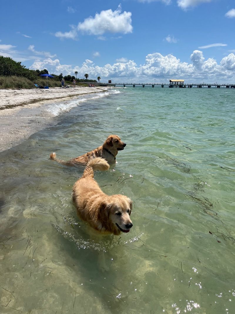Fort De Soto Dog Beach, Tierra Verde